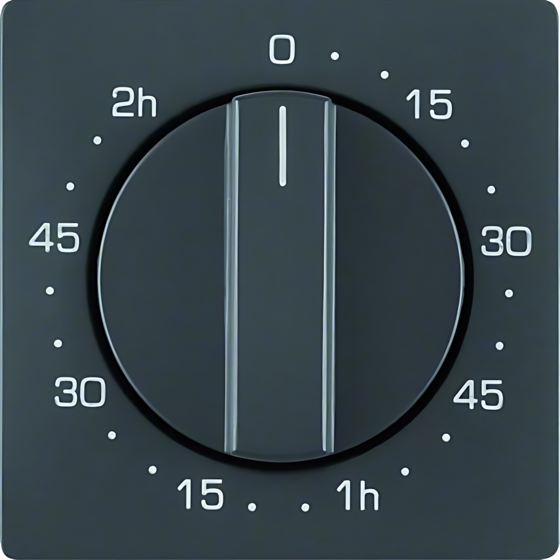 Berker Zentralstück 16336086 