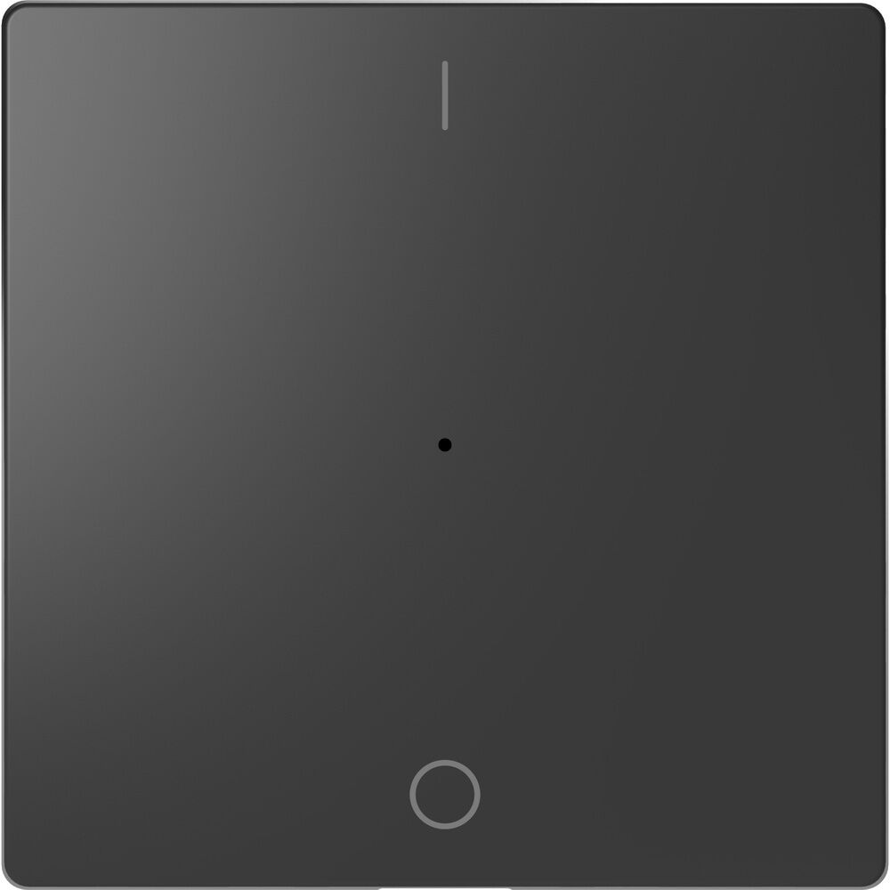 Merten Wippe MEG5211-6034