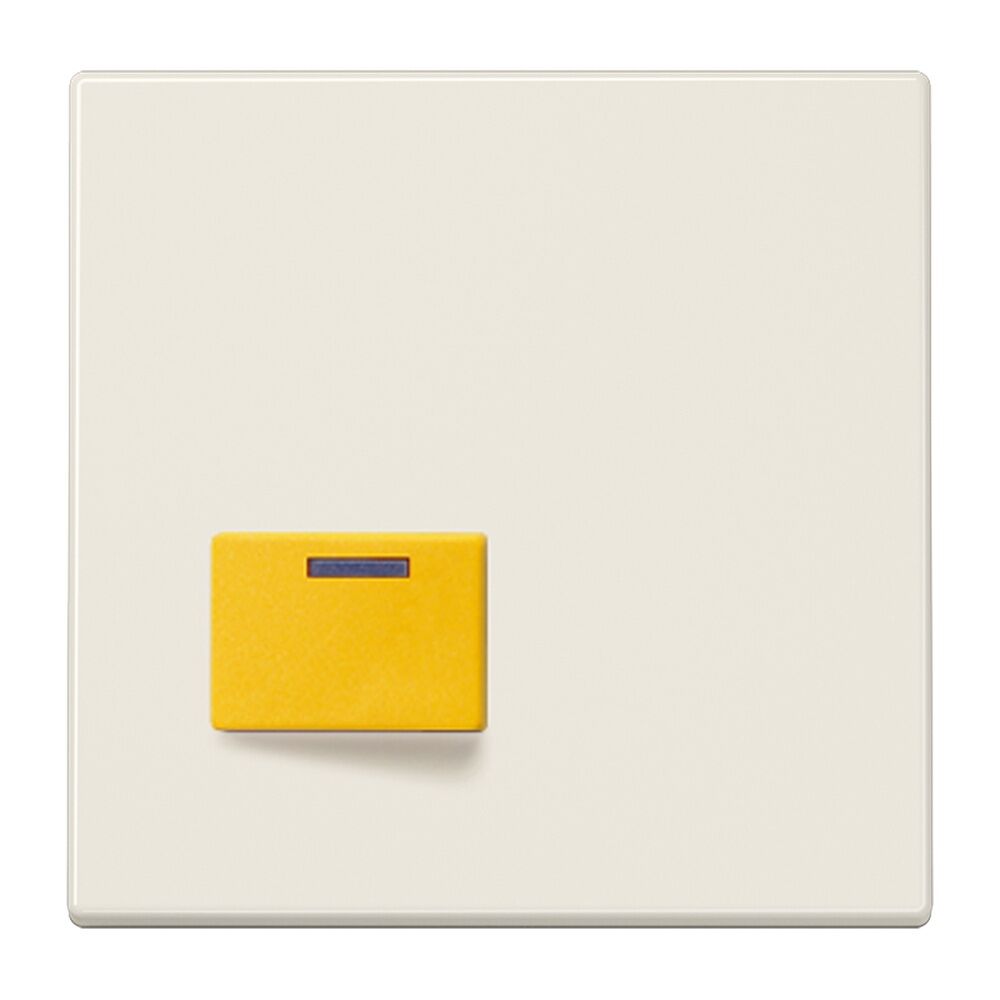 Jung Abdeckung Ackermann LS 642 D