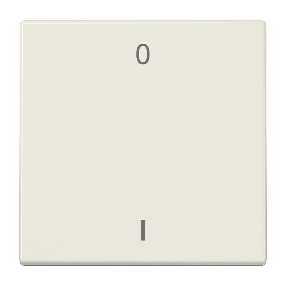 Jung EnOcean Funk Wandsender ENO LS 990-01