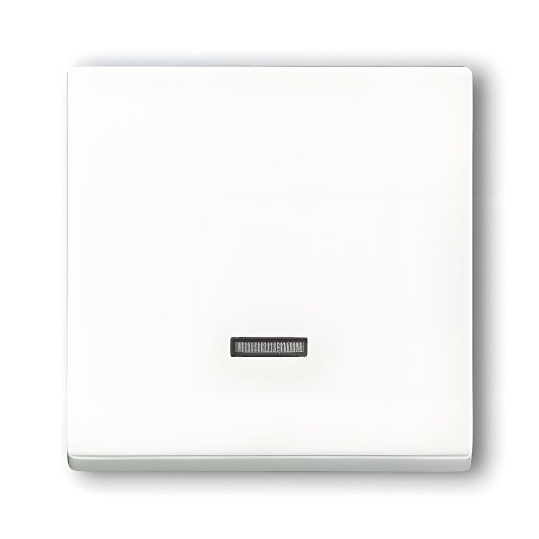 Busch-Jaeger Bedienelement 6543-84-101 Nr. 2CKA006599A2834