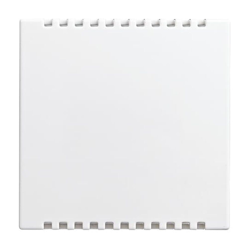 Busch-Jaeger Zentralscheibe 2114-914 Nr. 2CKA006599A3021