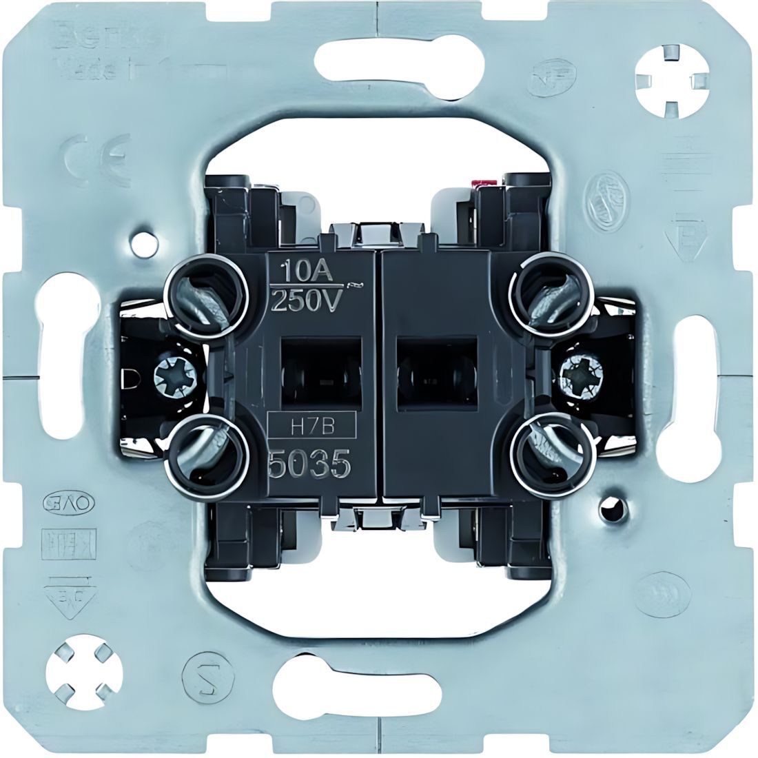 Berker Wippentaster 5035