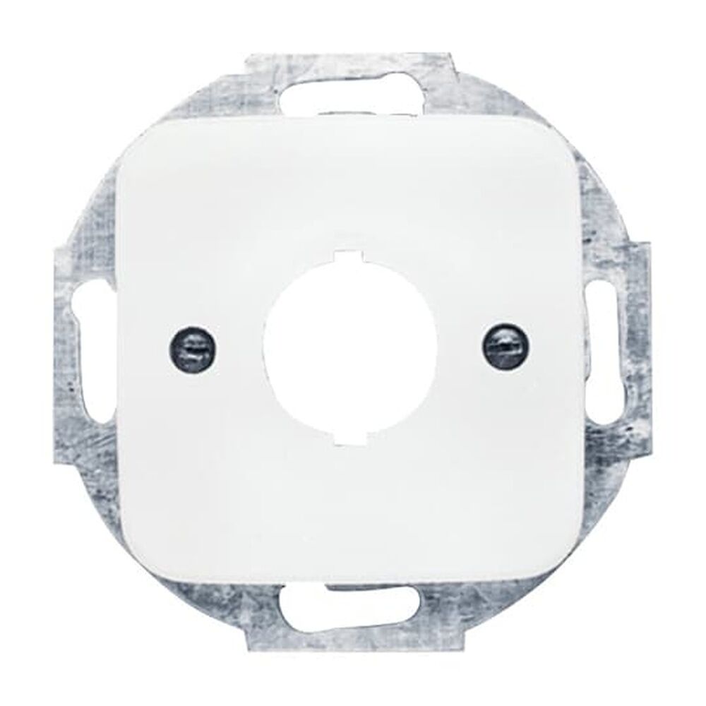 Busch-Jaeger Zentralscheibe 2534-214 Nr. 2CKA001724A1168