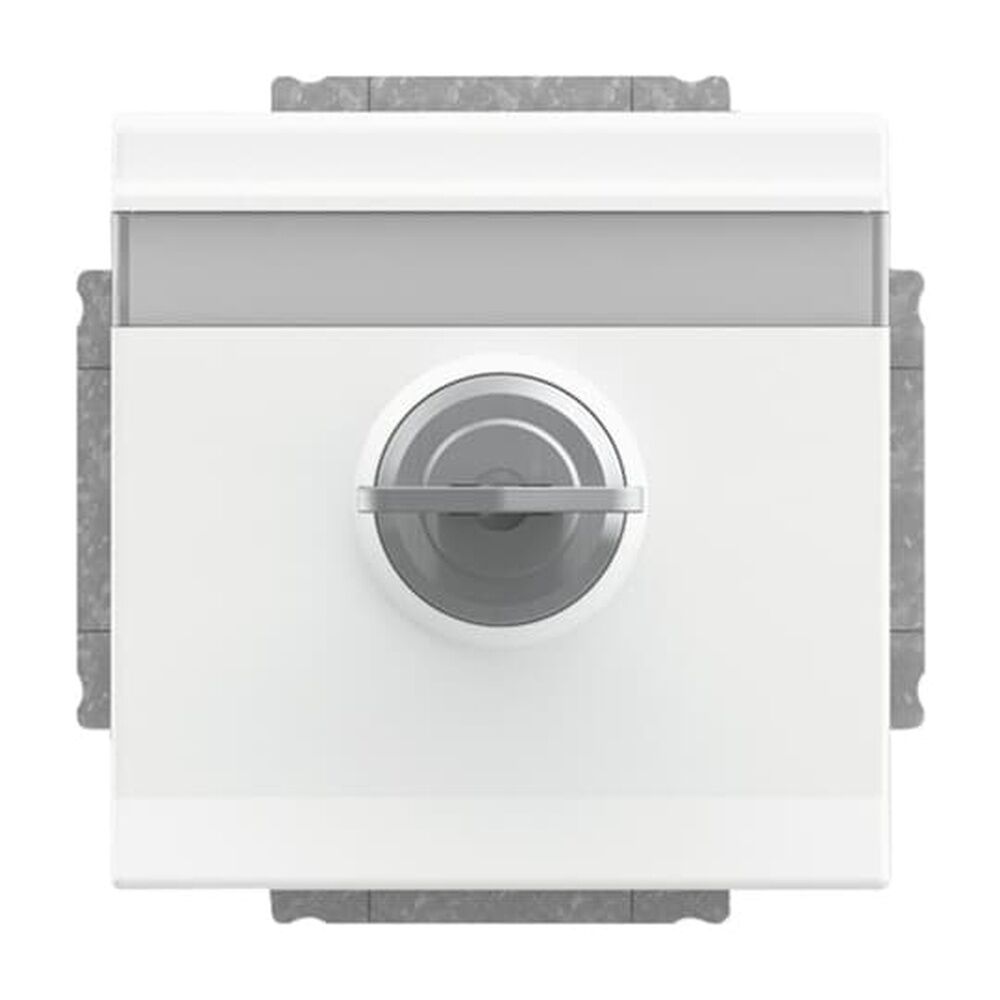 Busch-Jaeger SCHUKO Steckdosen Einsatz 20 EUKNBSL-884-101 Nr. 2CKA002018A1566