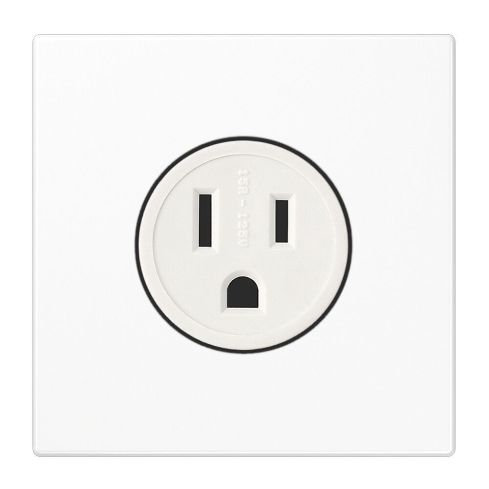 Jung Nema Steckdose LS 521-15 WW