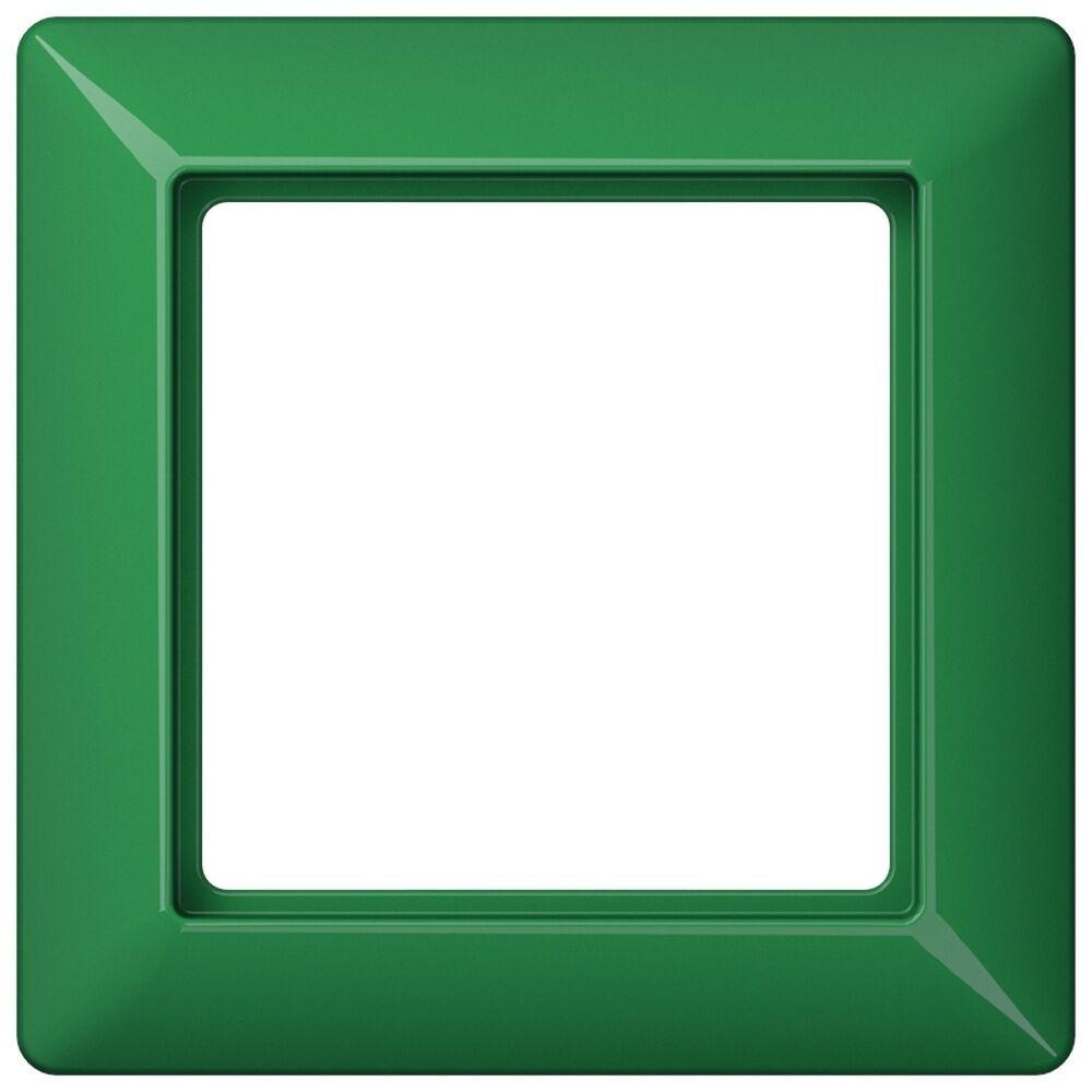 Jung Rahmen 1fach AS 581 BF GN