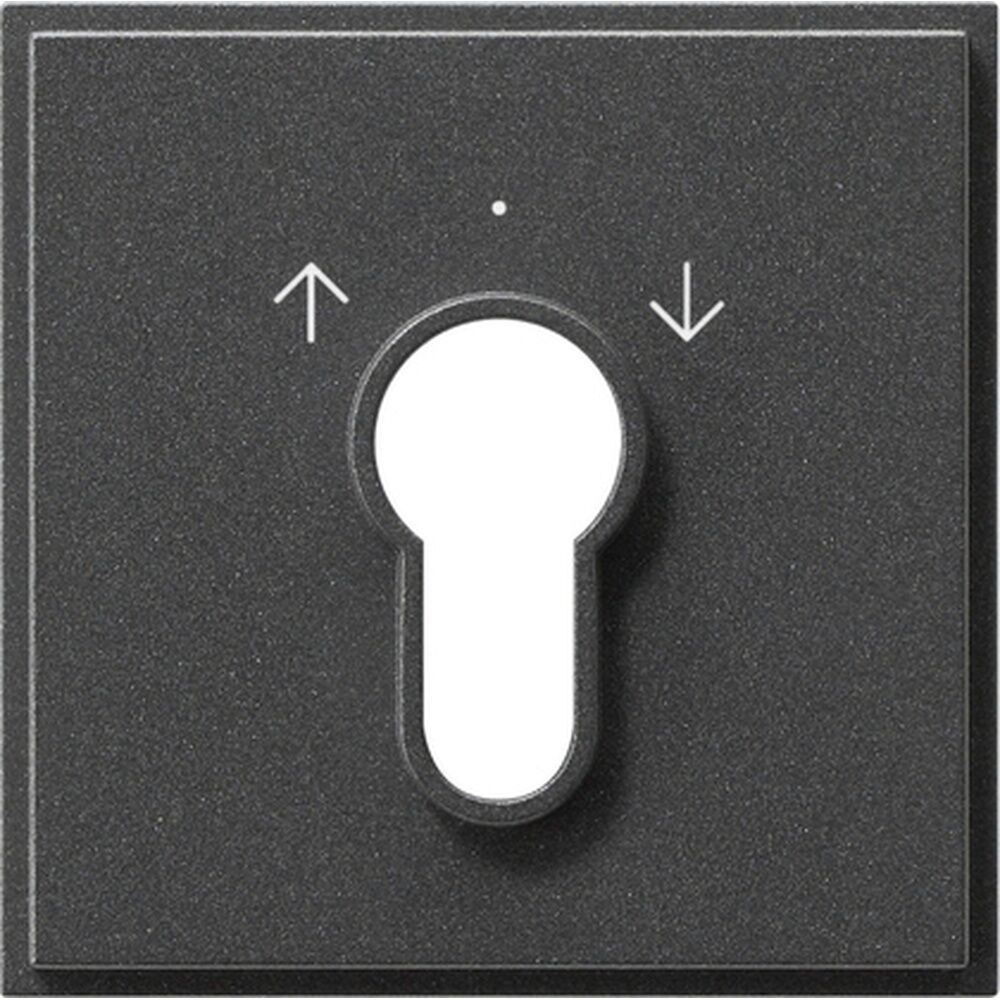 Gira Abdeckung Schlüsselschalter 066467