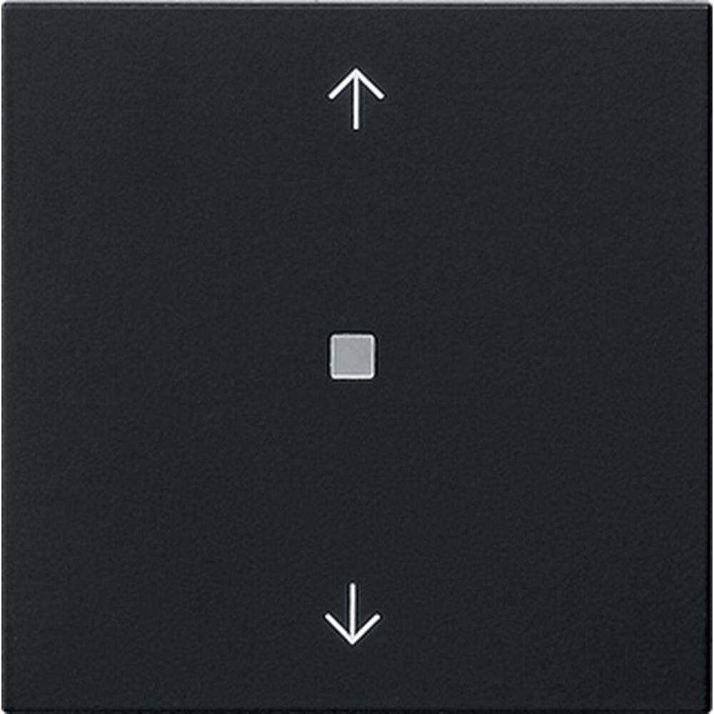 Gira Wippe 1fach 5388005