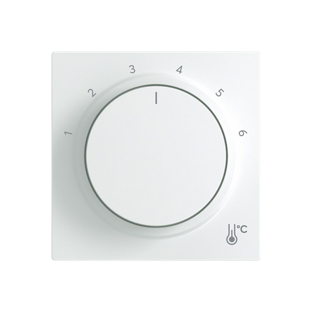 Busch-Jaeger Zentralscheibe 1794 R-44G Typ 2CKA001710A4207