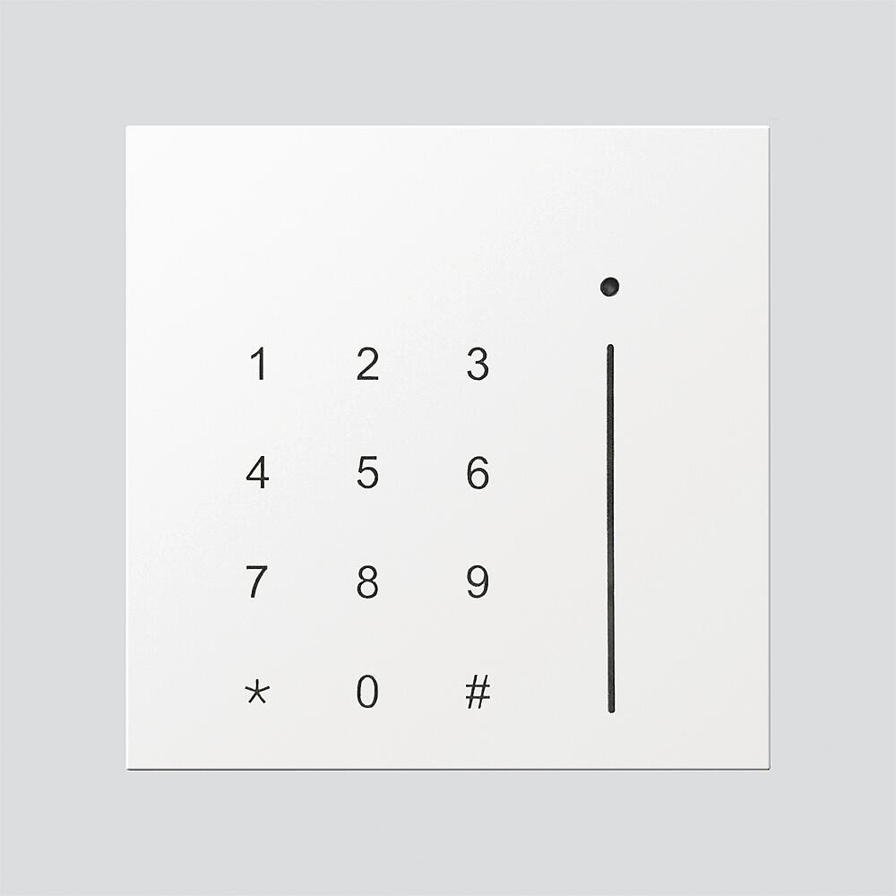 Siedle Zutrittskontrollleser 210013296-00 Typ SE 1045 DKT W