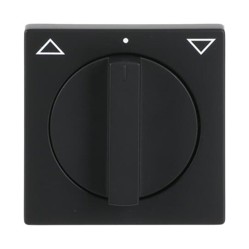 Busch-Jaeger Zentralscheibe 1740-885 Nr. 2CKA001710A3894