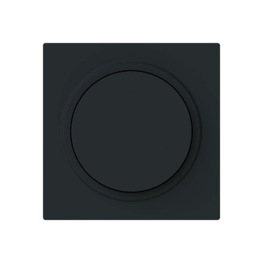 Busch-Jaeger Zentralscheibe 6540-45M-102 Typ 2CKA006599A3055