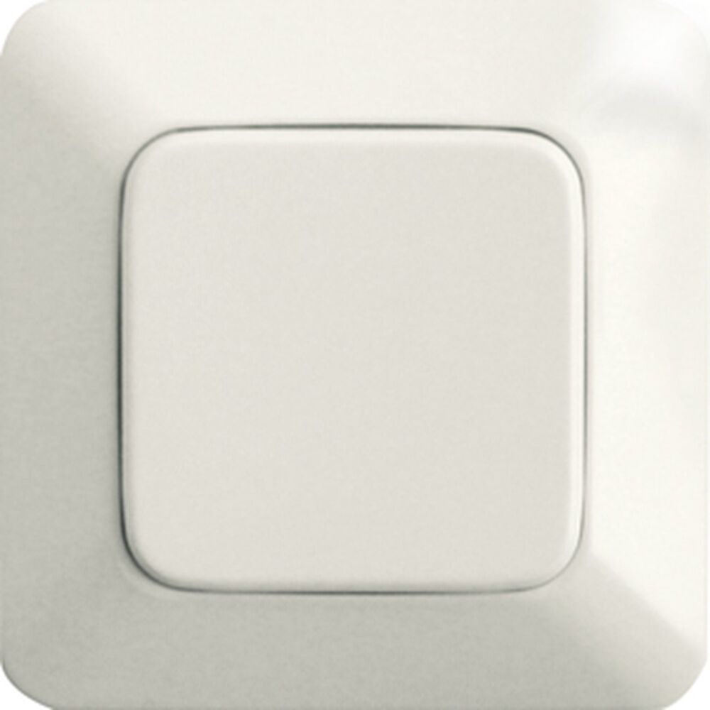 ELTAKO Funktaster 30000243 Typ FT55RS-alpinweiß