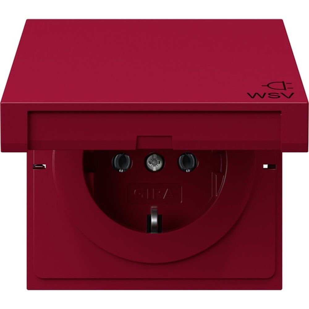 Gira SCHUKO Steckdose 4454708 