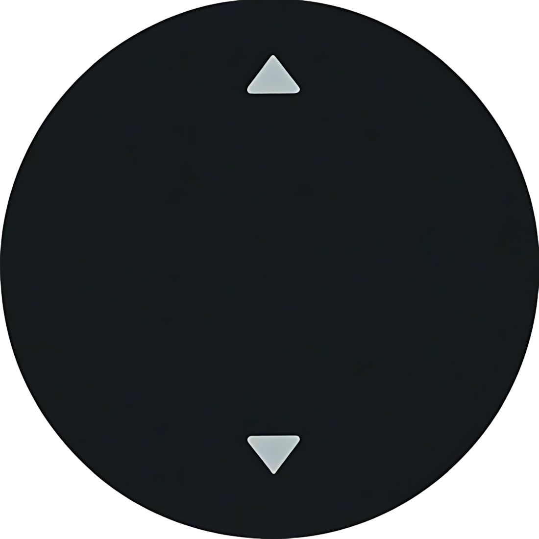 Berker Wippe 16202005