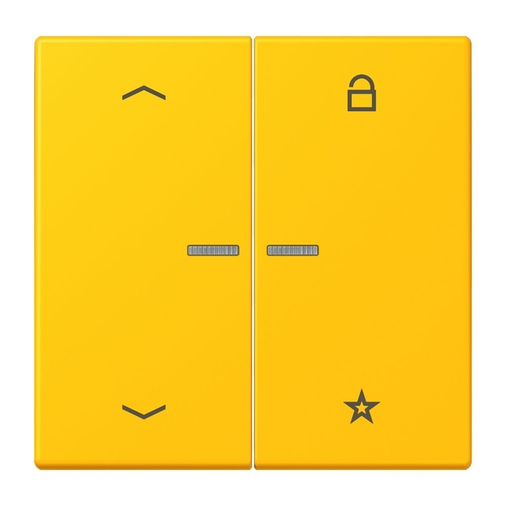 Jung Taster FMLC1701P263