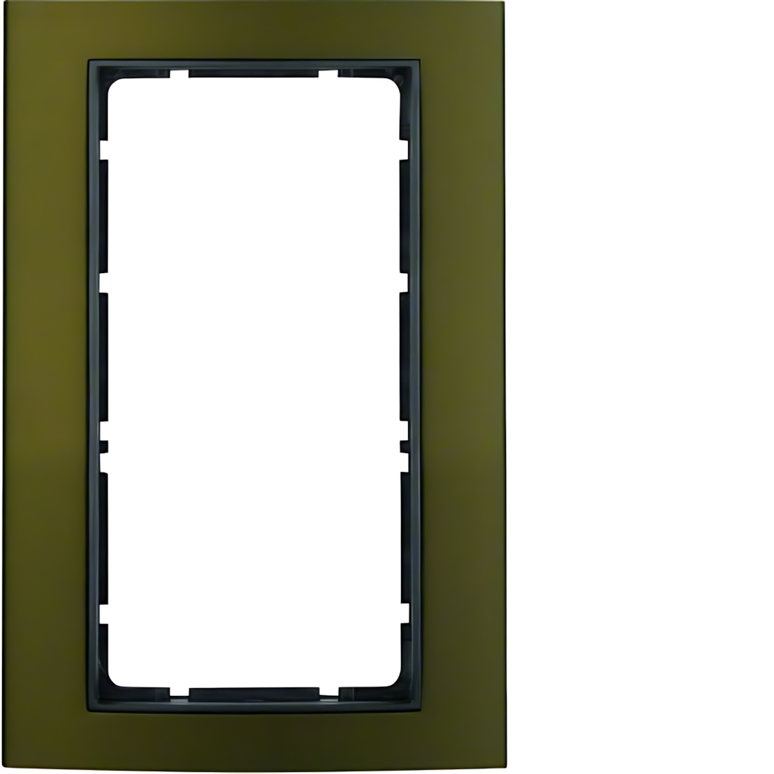 Berker Rahmen 13093001 