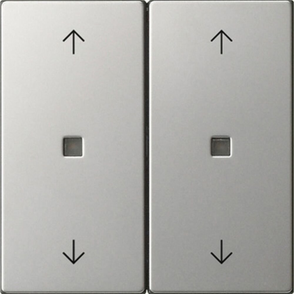 Gira Wippe 2fach 5386600