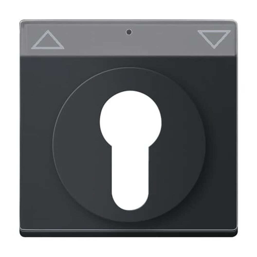 Busch-Jaeger Zentralscheibe 1755 SL/PZ-885-101 Nr. 2CKA001710A3902