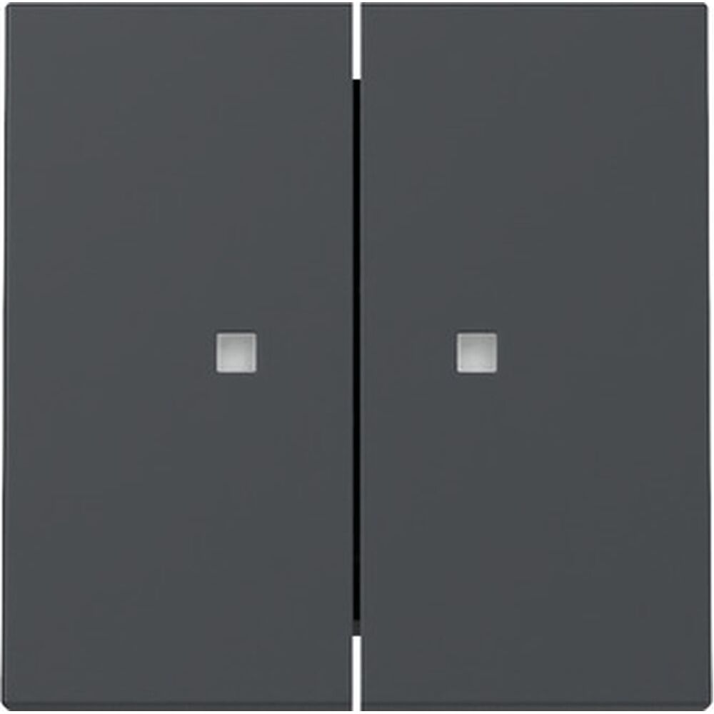 Gira Wippe 2fach 363128