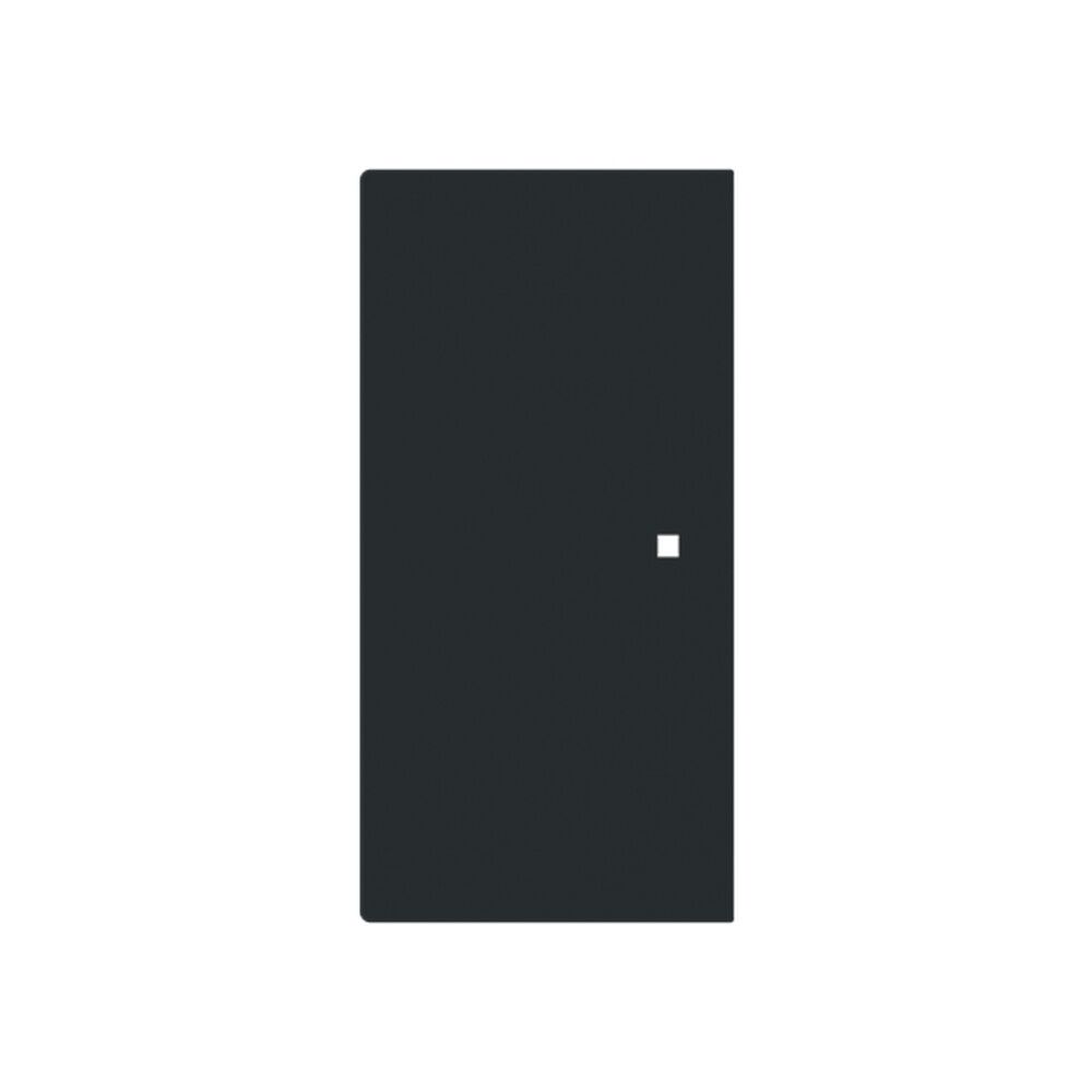 Busch-Jaeger Wippe  6230-20-45M Typ 2CKA006220A0947