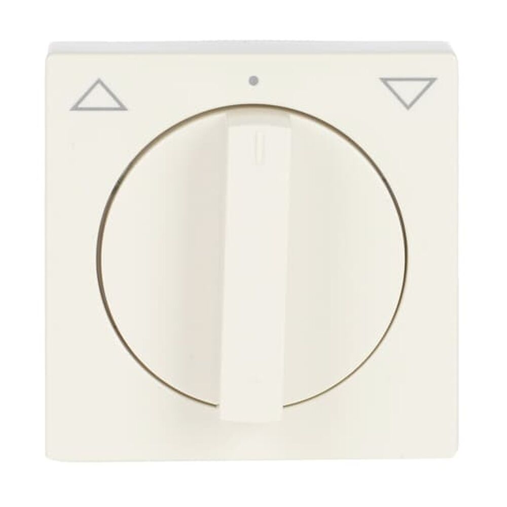 Busch-Jaeger Zentralscheibe 1740-82 Nr. 2CKA001710A3154