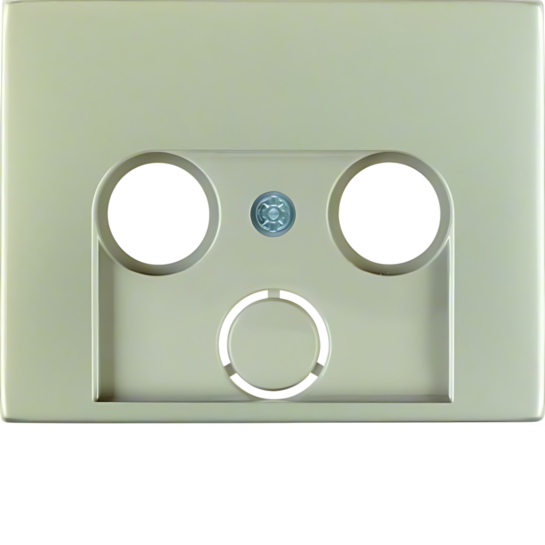 Berker Zentralstück 12017014 