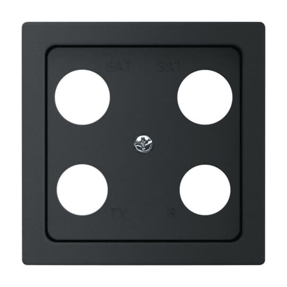 Busch-Jaeger Zentralscheibe 1743-04-885 Nr. 2CKA001724A4380