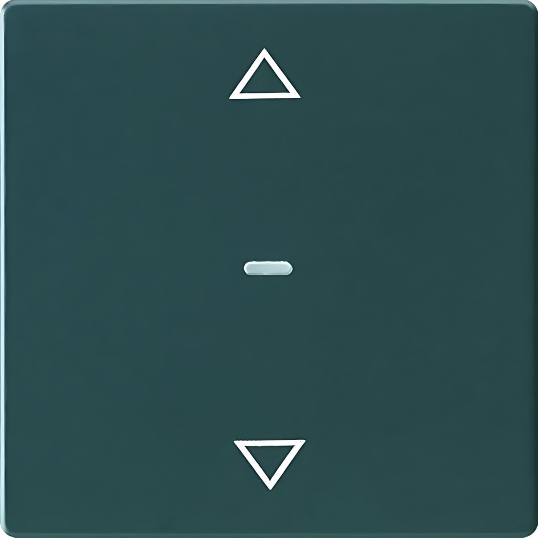 Berker Tastsensor Abdeckung 80961226