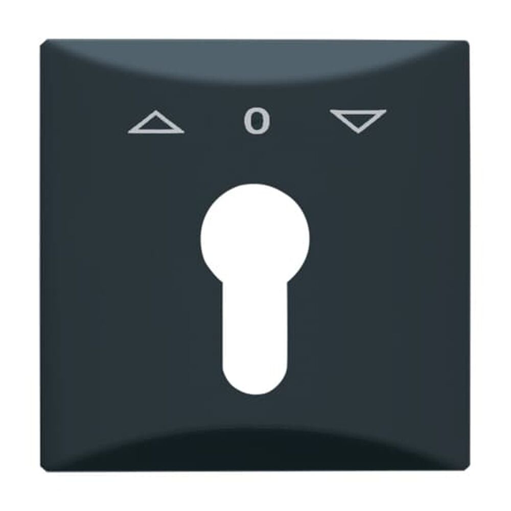 Busch-Jaeger Zentralscheibe 2155 PZ-35 Nr. 2CKA001710A1894