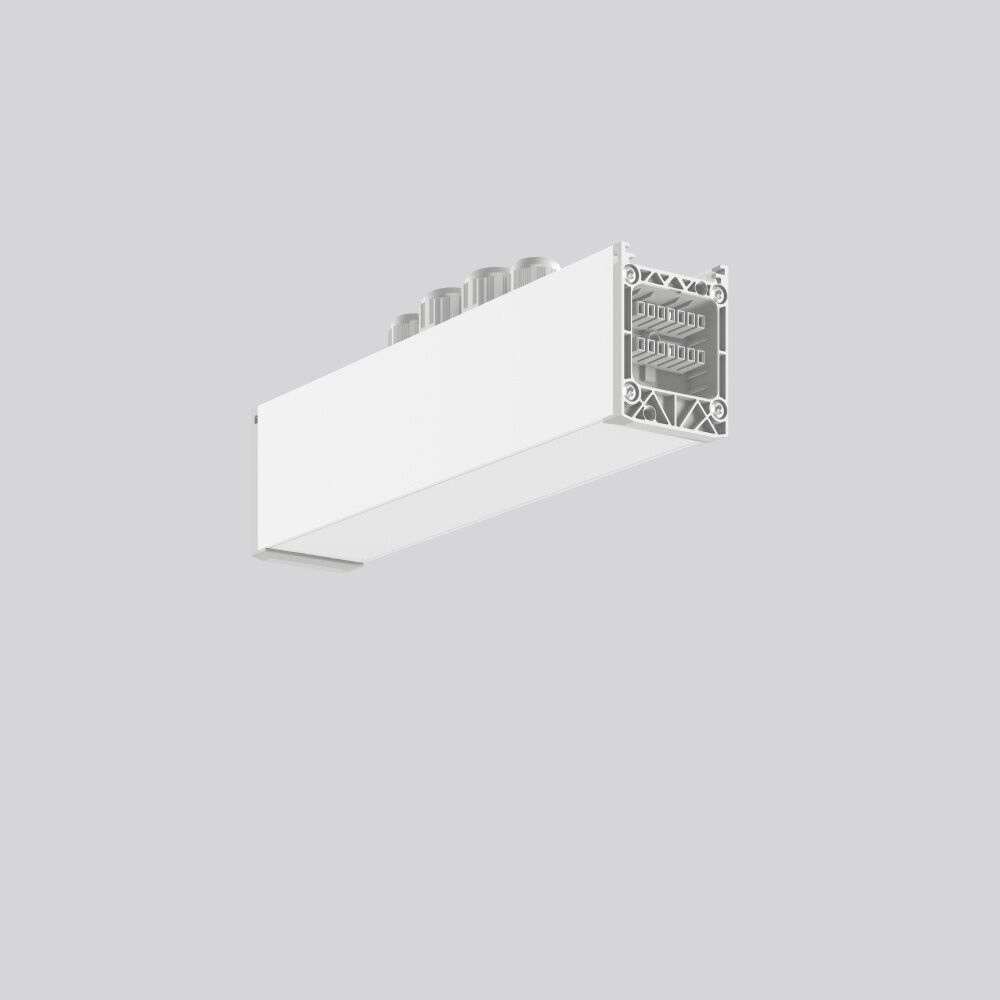 RZB Mitteleinspeisung 982698.002.1