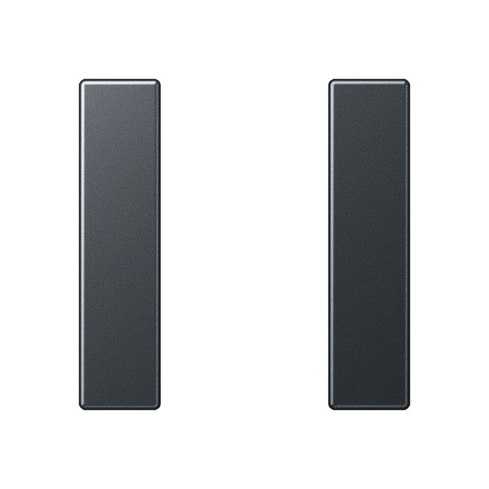 Jung Tastensatz 1fach A 501 TSA ANM