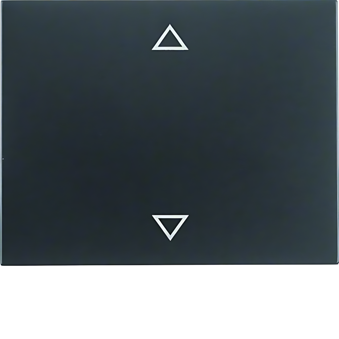 Berker Wippe 14057106