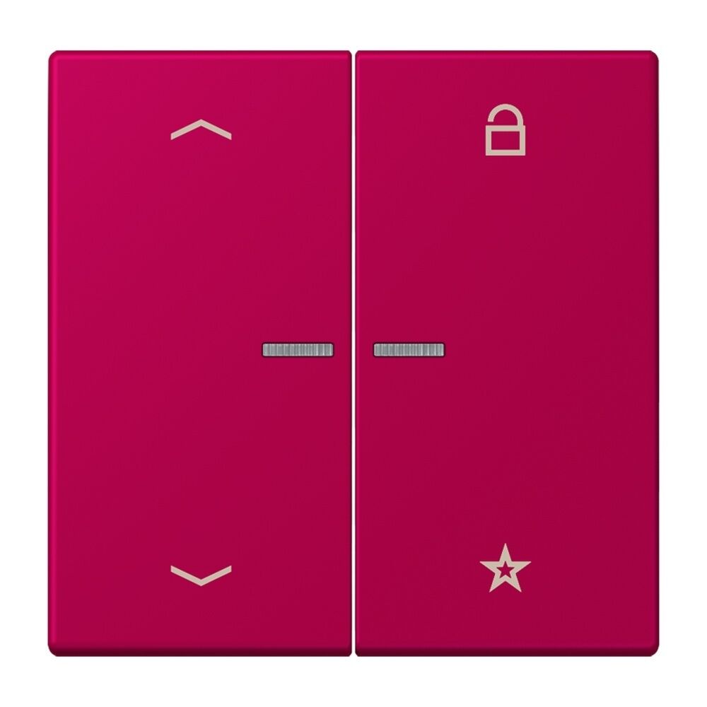 Jung Taster FMLC1701P230