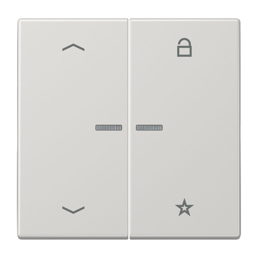 Jung eNet Funk Steuertaste FMLS1701PLG