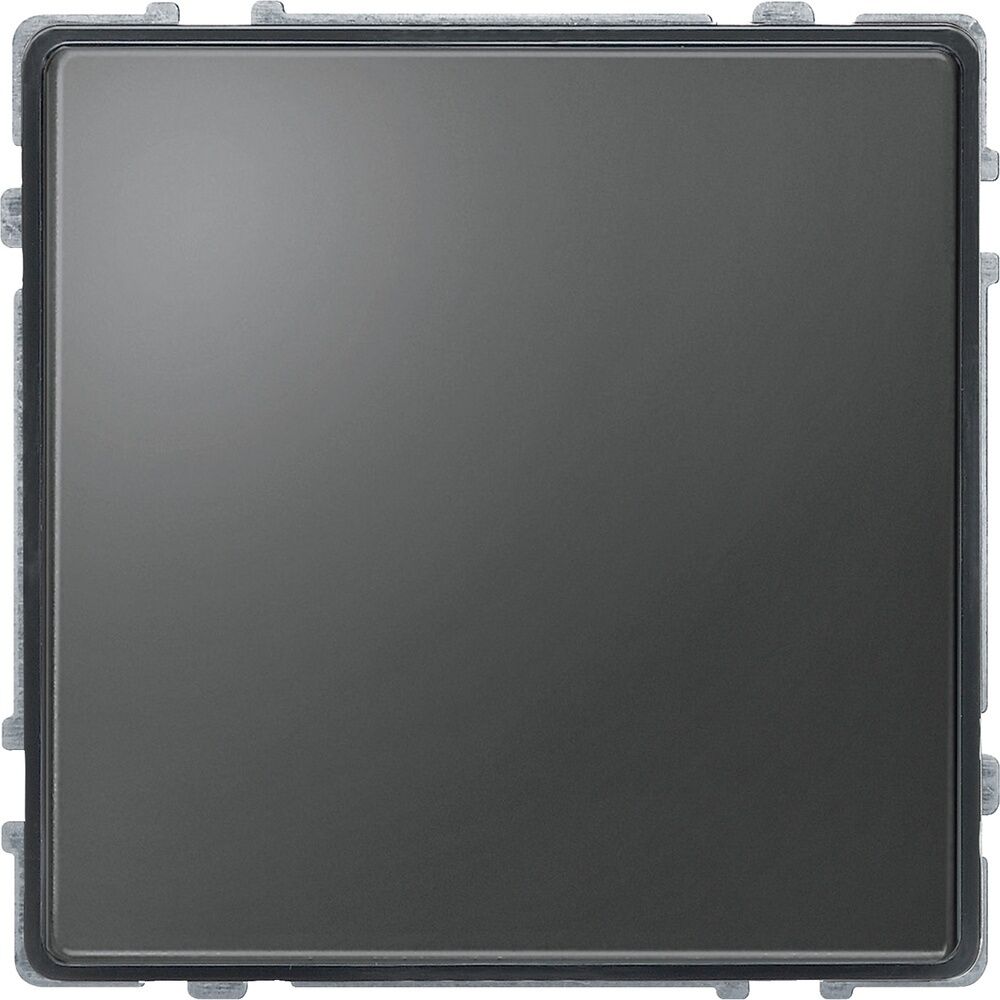 Merten Blindabdeckung 348314