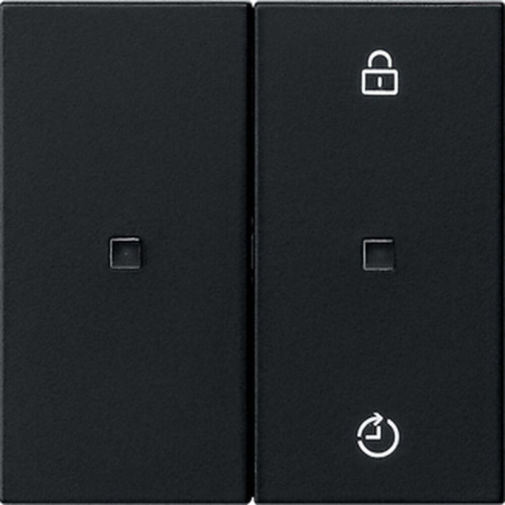 Gira eNet Funk Bedienaufsatz 5493005 