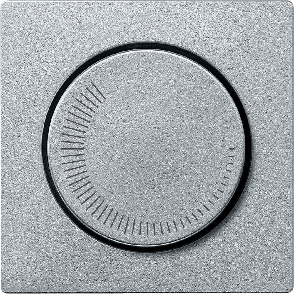 Merten Zentralplatte MEG5251-0460