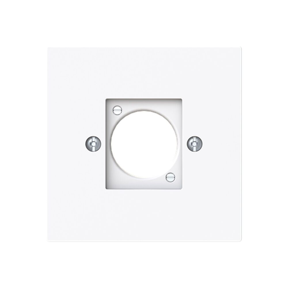 Busch-Jäger Zentralscheibe 2553-44G Nr. 2CKA001724A4448