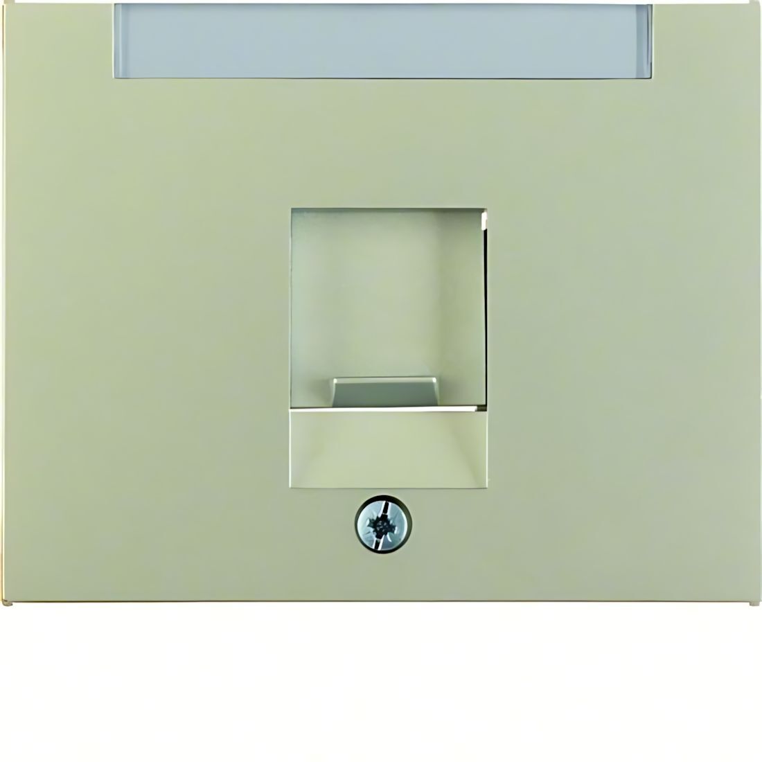 Berker Zentralstück 11707004