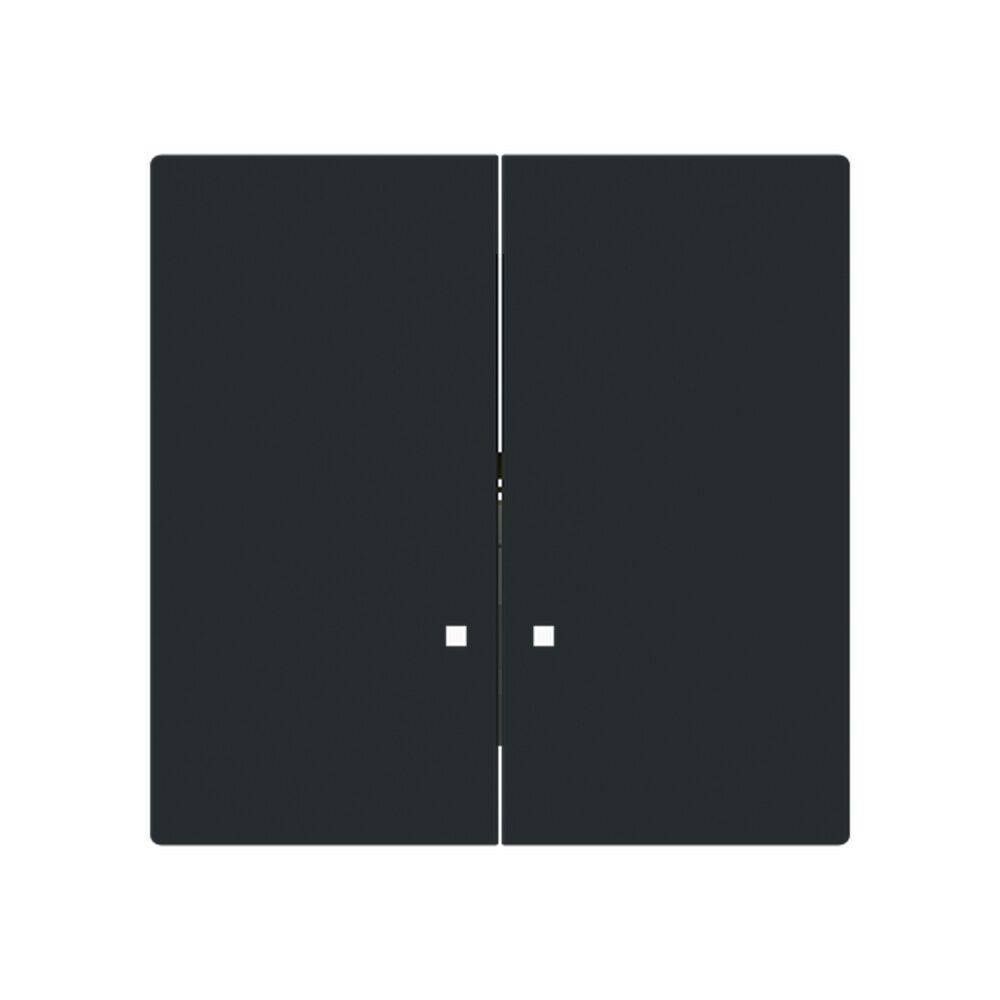 Busch-Jäger Zentralscheibe 1785/11 K-45M Nr. 2CKA001751A3312