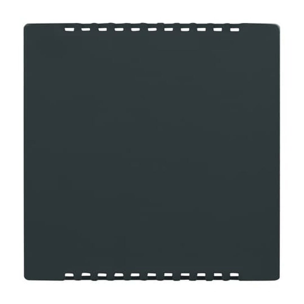 Busch-Jaeger Zentralscheibe 6541-81 Nr. 2CKA006599A2882