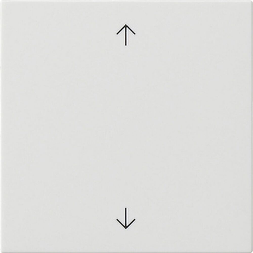 Gira Wippe 1fach 538903