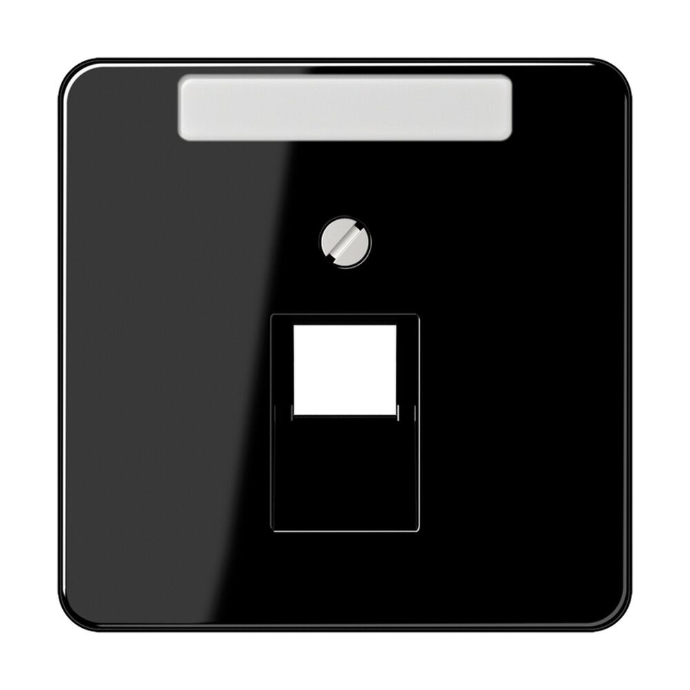 Jung Abdeckung IAE/UAE CD 569-1 NAUA SW