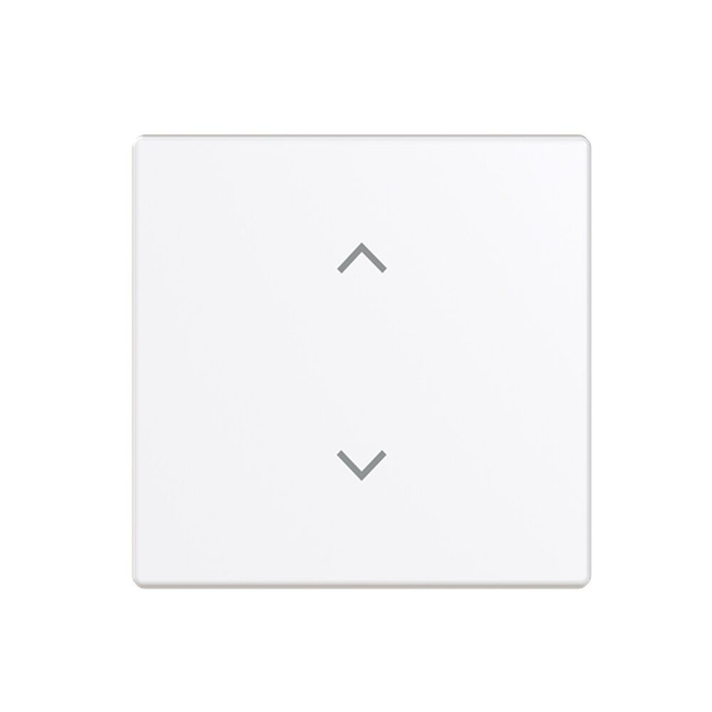 Busch-Jäger Wippe 6735-11-84 Nr. 2CKA006220A0988