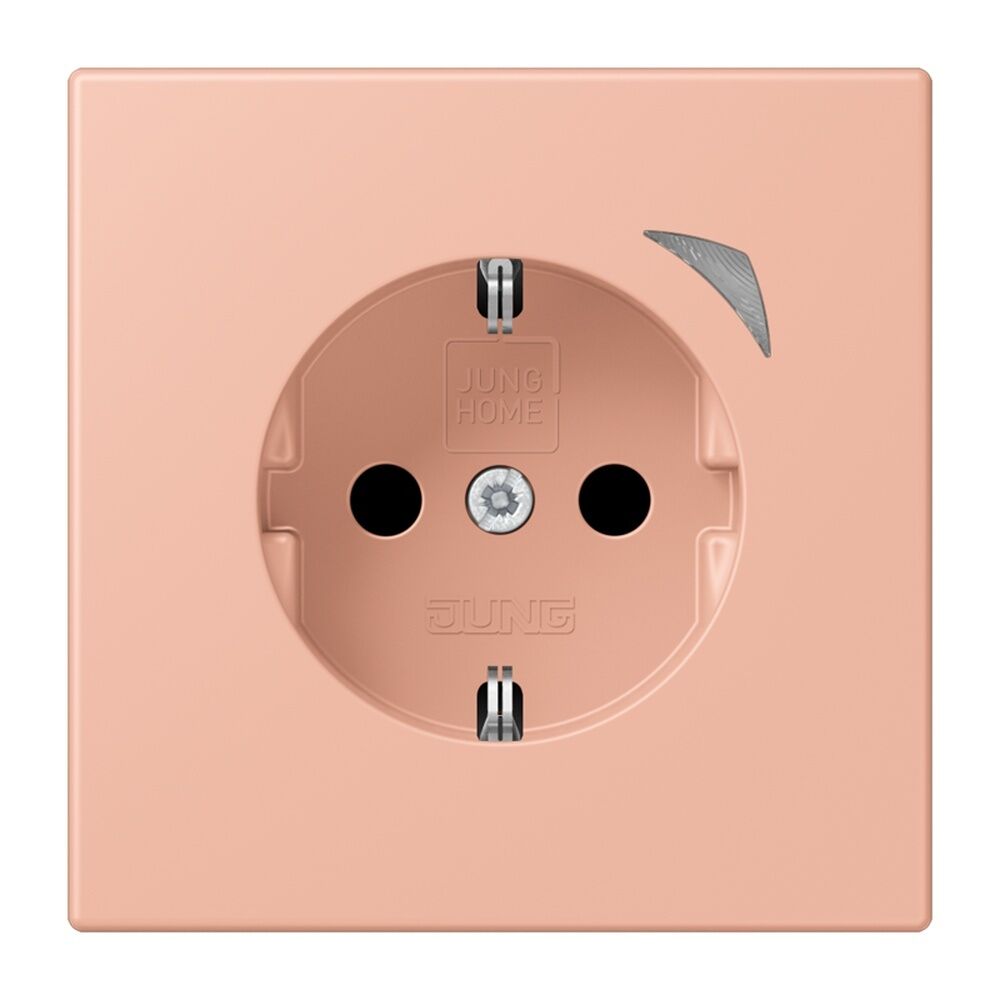 Jung JUNG HOME SCHUKO Steckdose BTLC1521SE231 