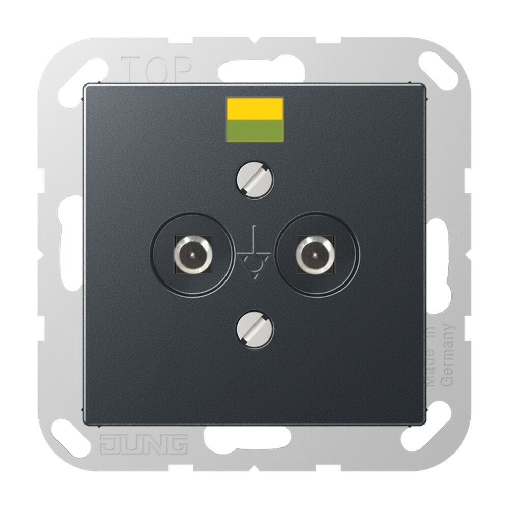 Jung Potentialausgleich Steckdose A 565-2 BF ANM