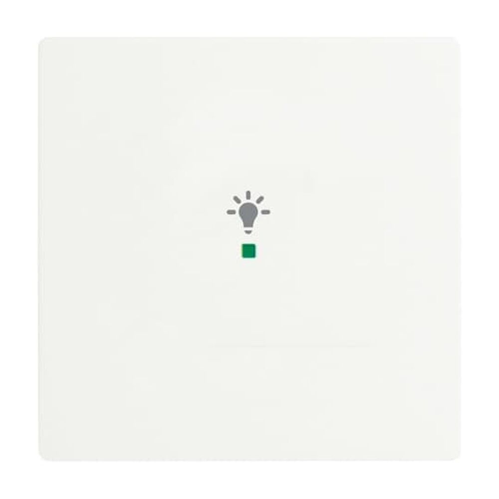 Busch-Jaeger Wippe 6231-10-884 Nr. 2CKA006220A0482