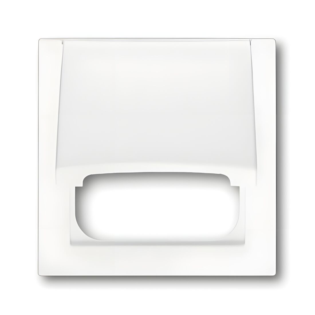 Busch-Jaeger Zentralscheibe 1746-774 Nr. 2CKA001753A0171